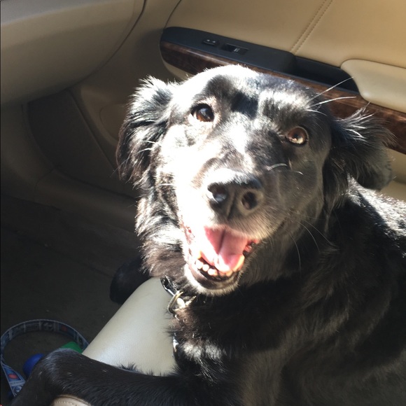 Meet your Posher, Kara - Picture 1 of 1